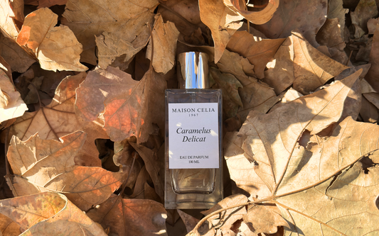 El arte de perfumarse en otoño