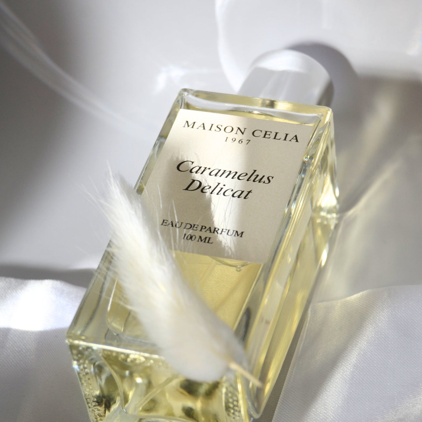 CARAMELUS DELICAT