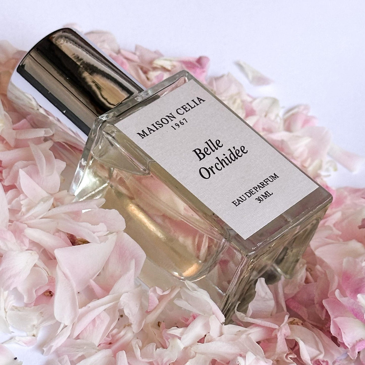 Belle Orchidée sobre pétalos de orquídea. De Maison Celia.