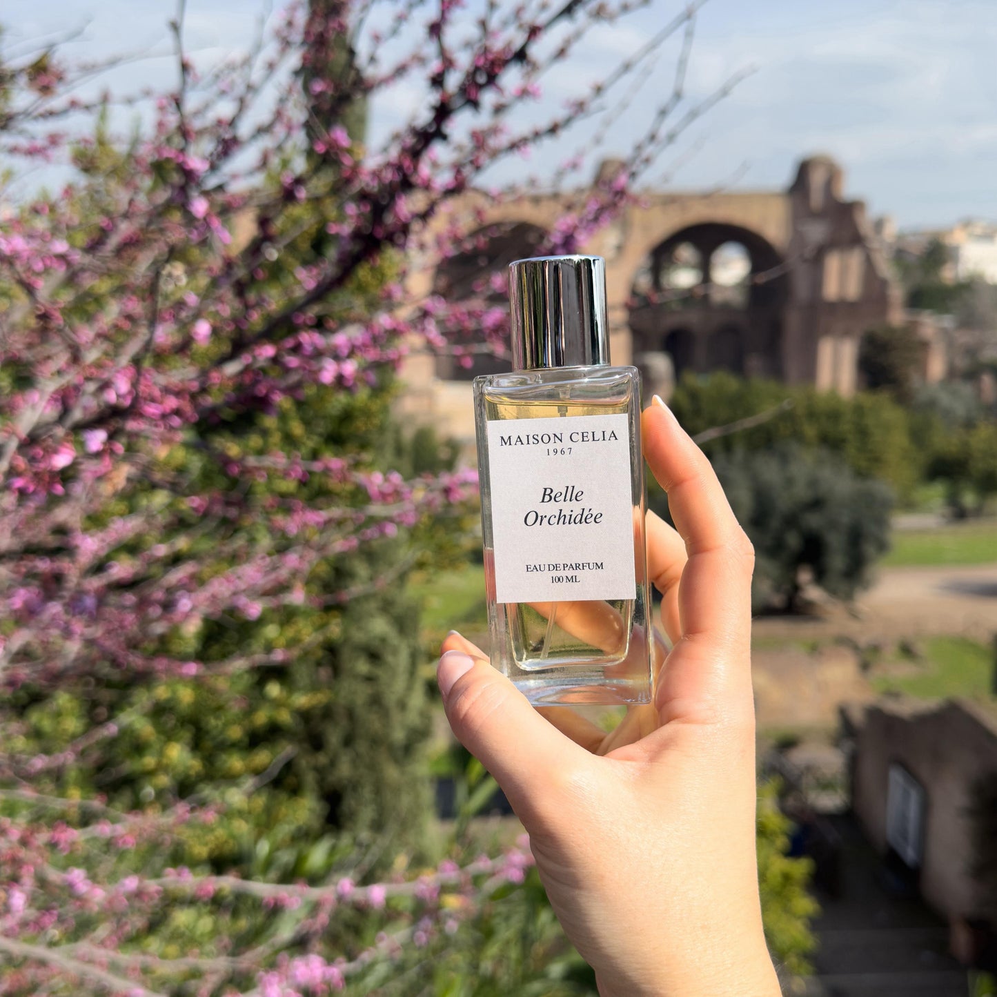 Belle Orchidée de Maison Celia en Roma.