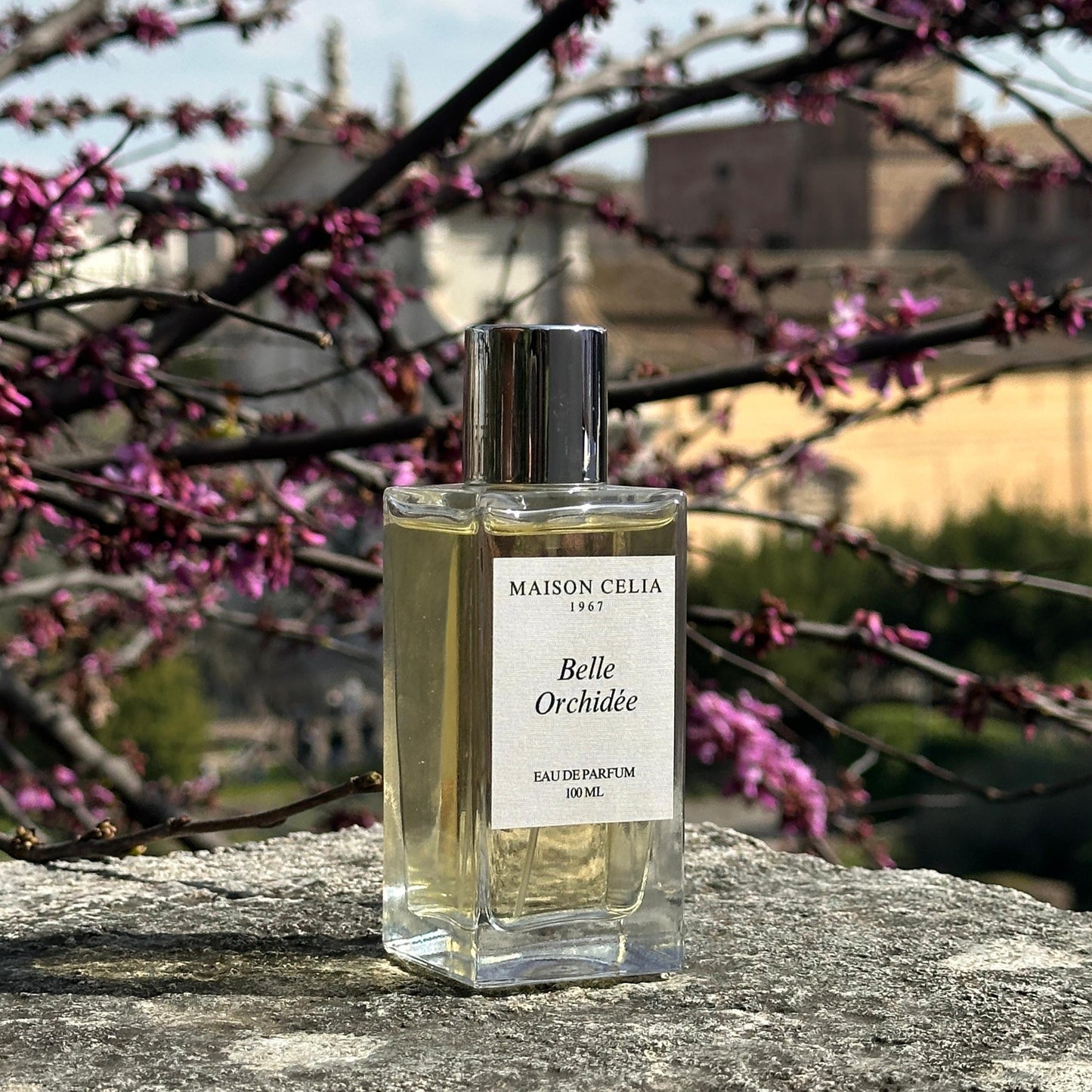 Belle Orchidée de Maison Celia. Un Eau de Parfum floral empolvado