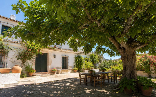 Higuera Maison Celia