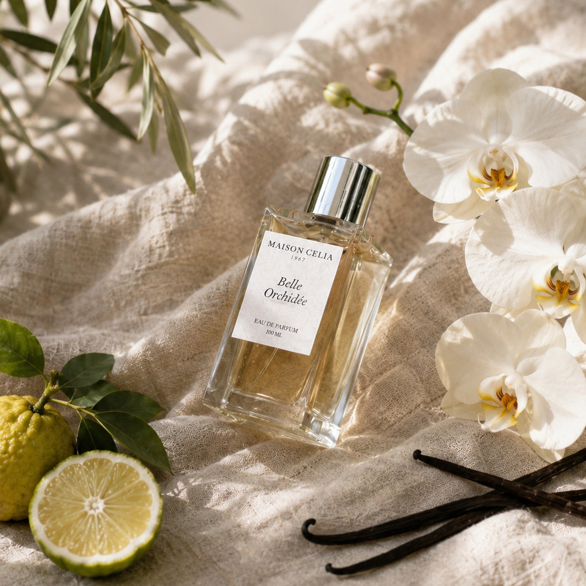 Belle Orchidée Eau de Parfum de Maison Celia rodeado de las notas olfativas.