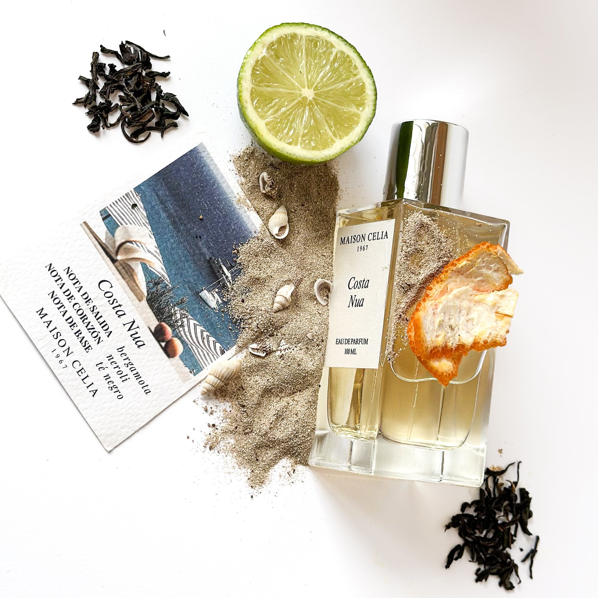 Costa Nua de MAISON CELIA. Un perfume fresco y limpio con notas olfativas de bergamota, neroli y té negro