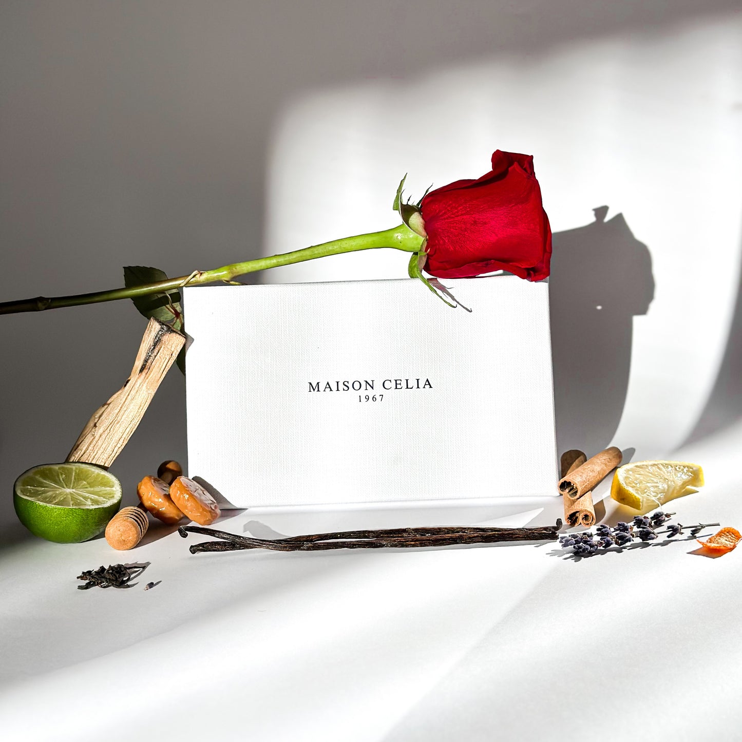 MAISON CELIA en Discovery Set